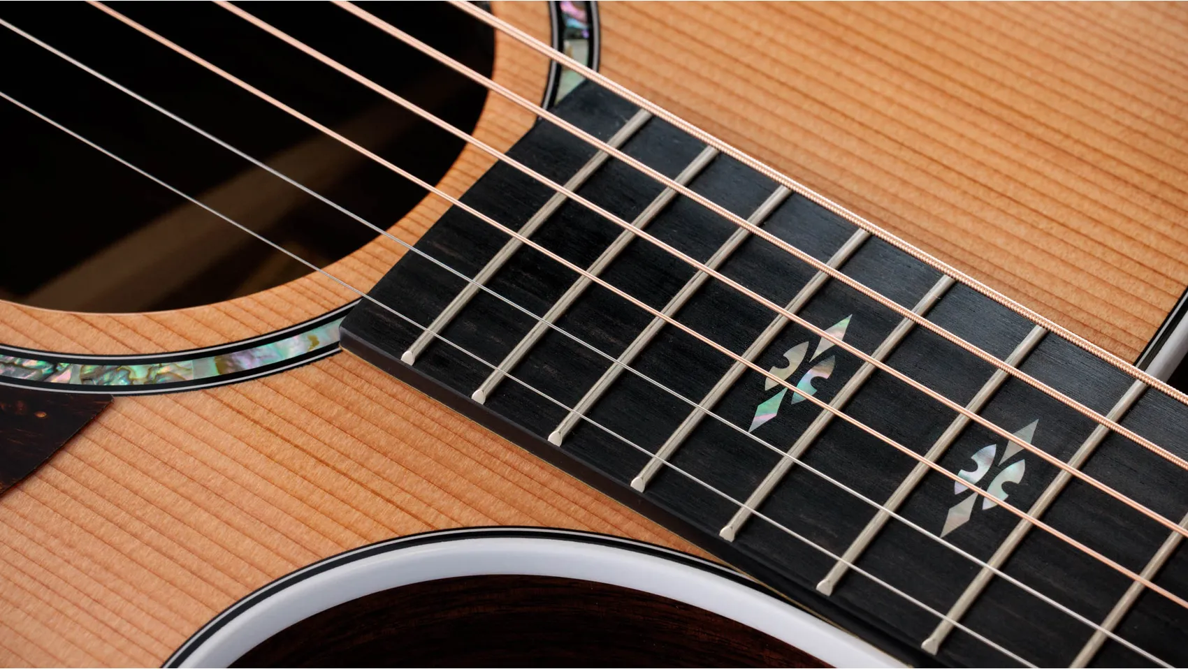 次世代712ceIndian Rosewood・アコースティック・エレクトリックギター